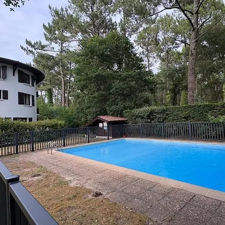 61 Metres Carres Terrasse Privee 85 Metres Carres Donnant Acces Direct A La Piscine Apartment *